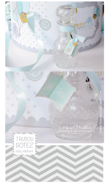 Trusou botez cu elefantei si baloane de aer cald, Grey Baby Elephant  10